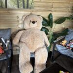Teddy Bear's Picnic