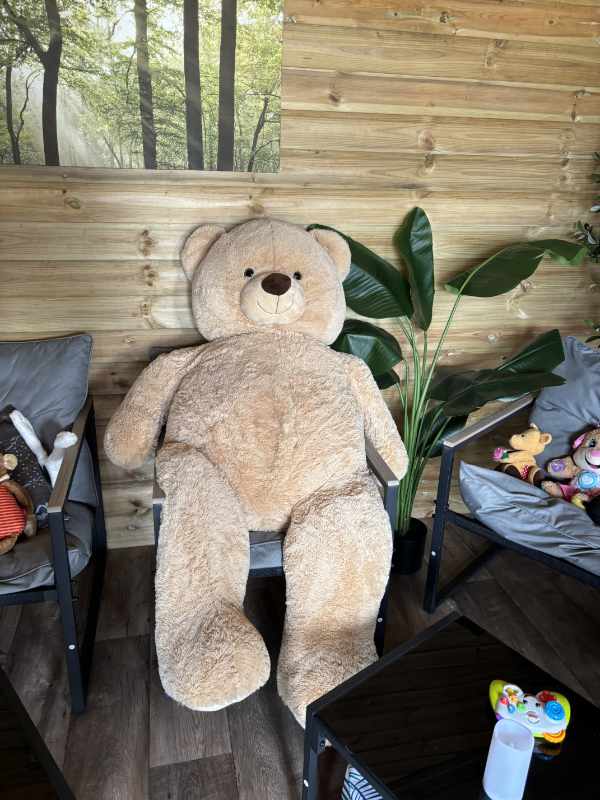 Teddy Bear's Picnic